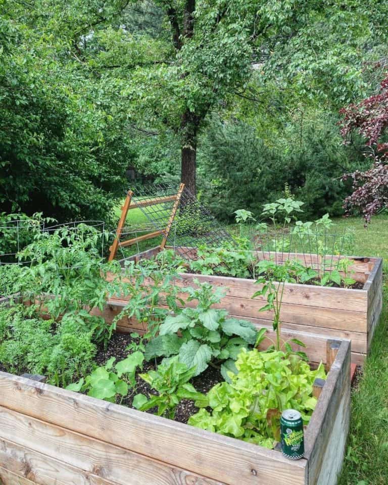 Practical and Stylish Raised Garden Bed Ideas