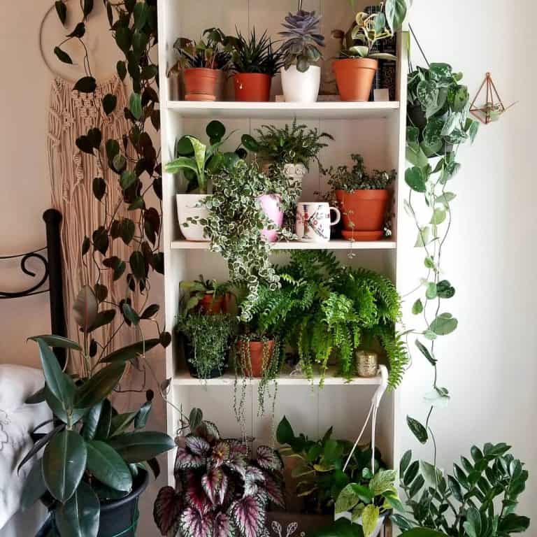 Lush and Innovative Indoor Garden Ideas for Every Space