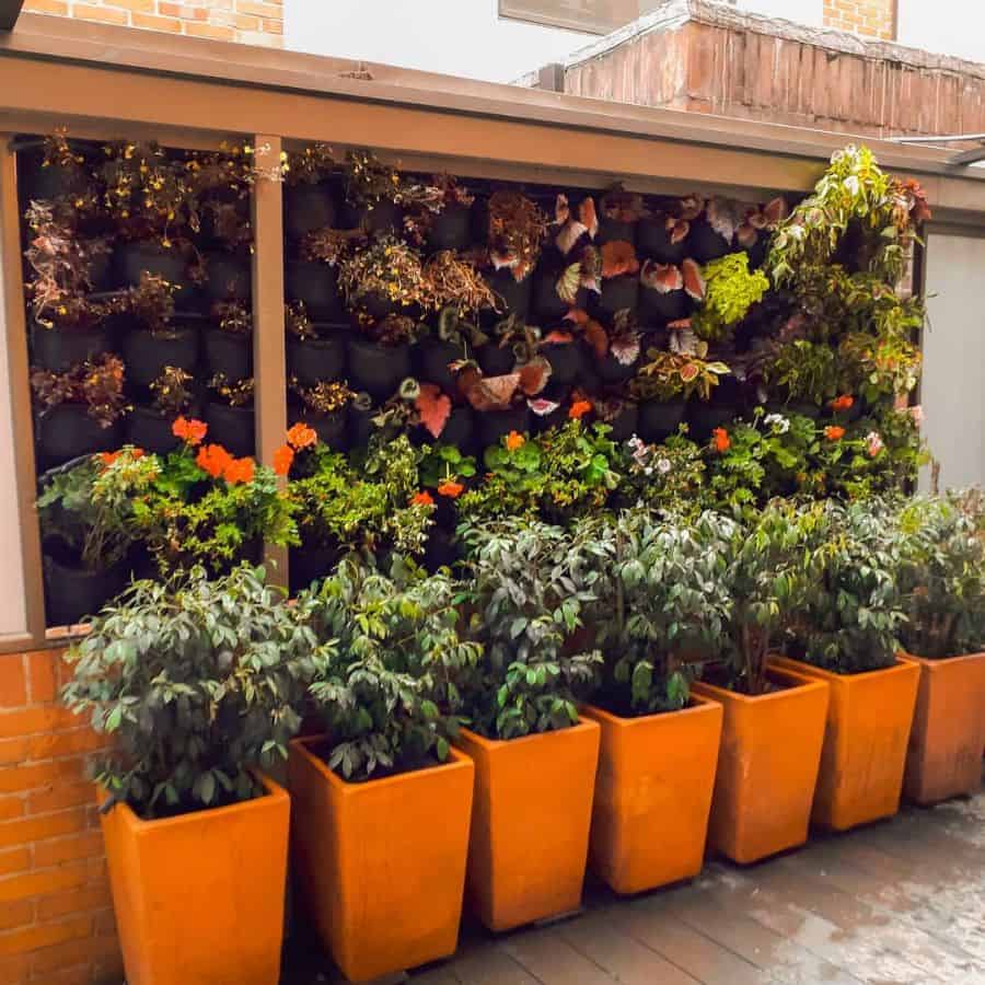 rooftop vertical planter garden