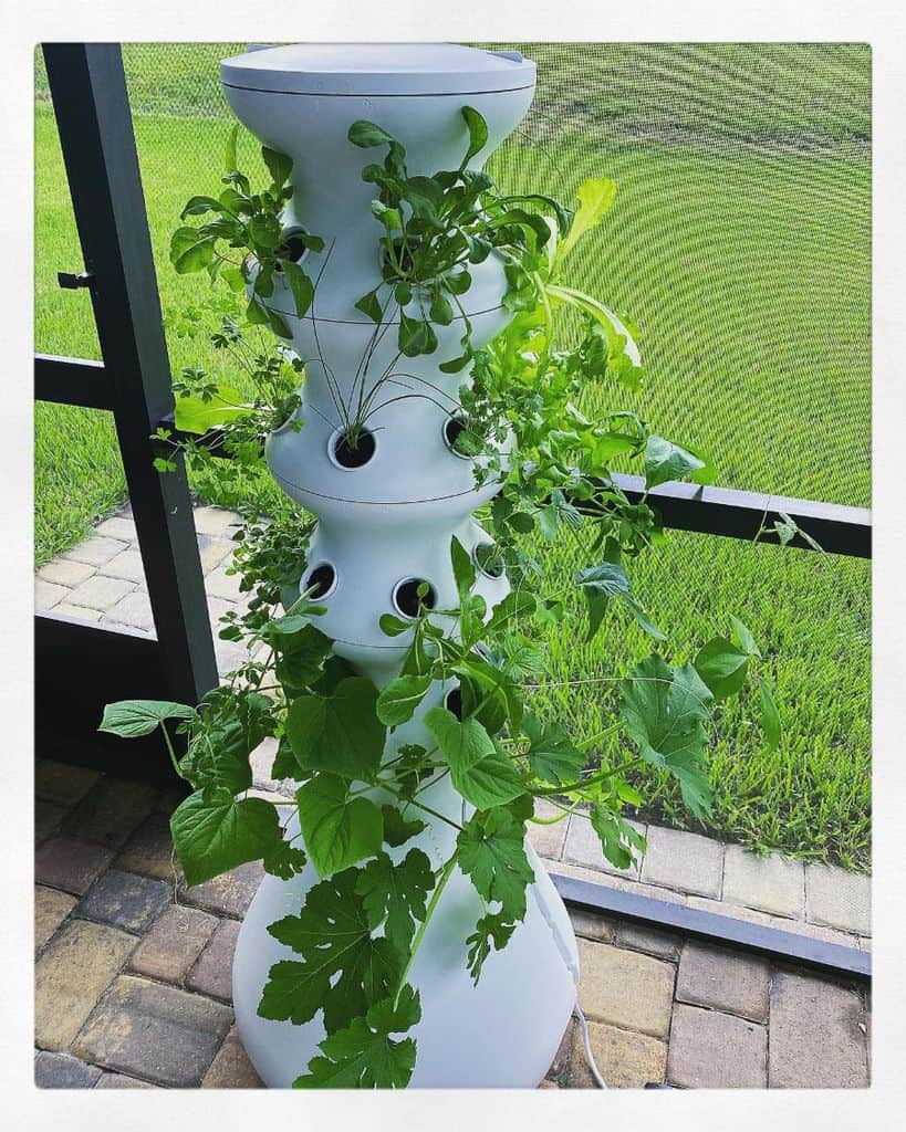 vertical planter garden ideas hashtagnursej