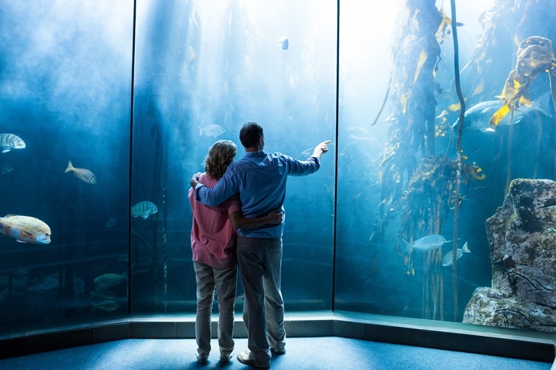 visit an aquarium date to experience this winter