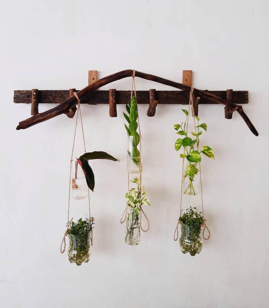 wood wall hanger with plants