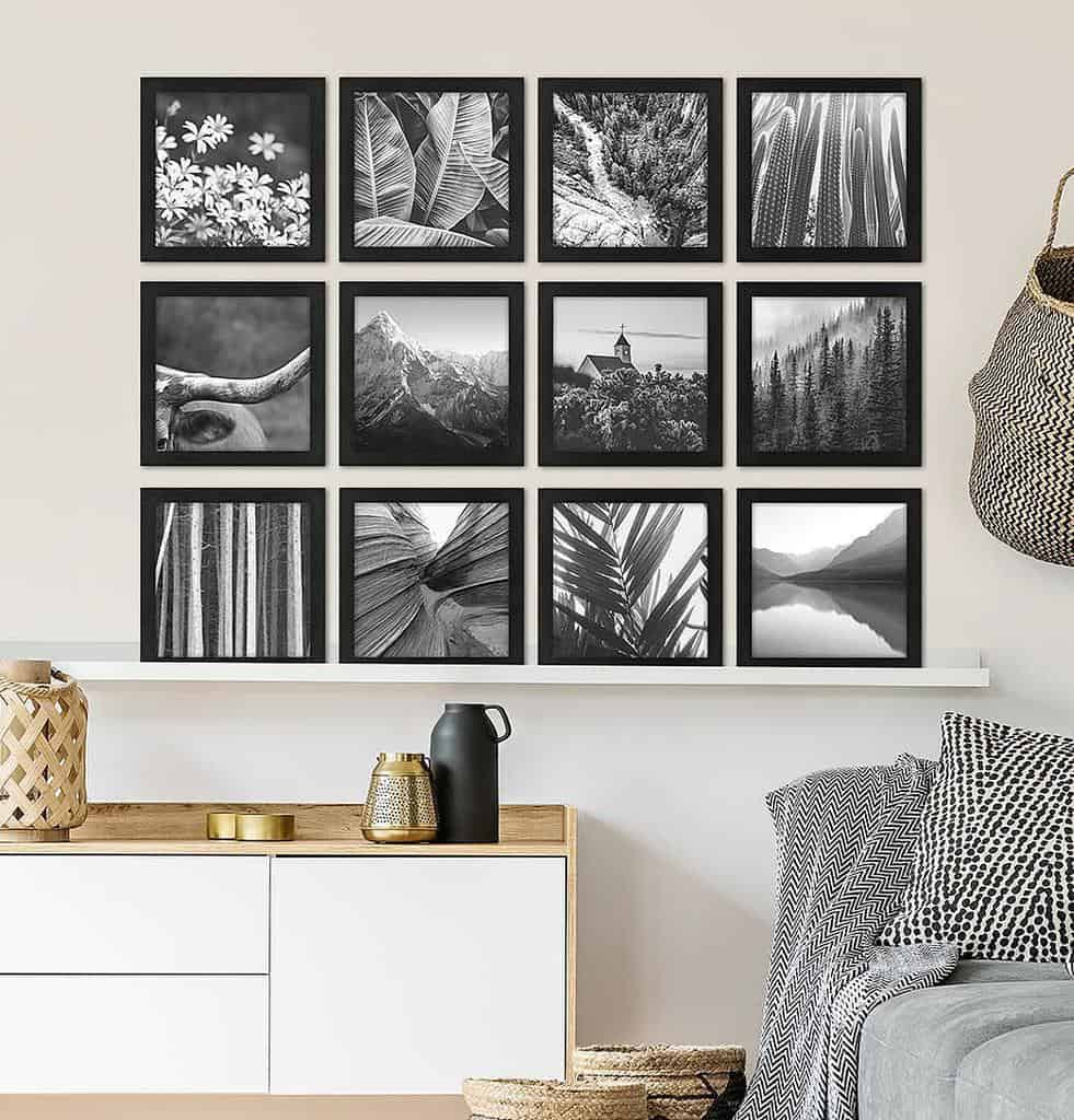 framed black and white nature photos living room wall