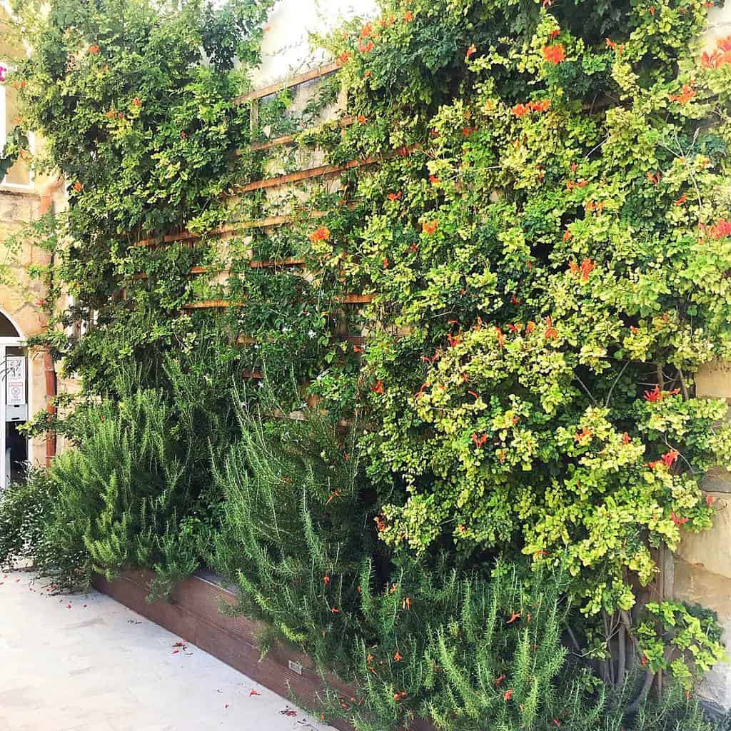 wall planter herb garden ideas s.l.f_home