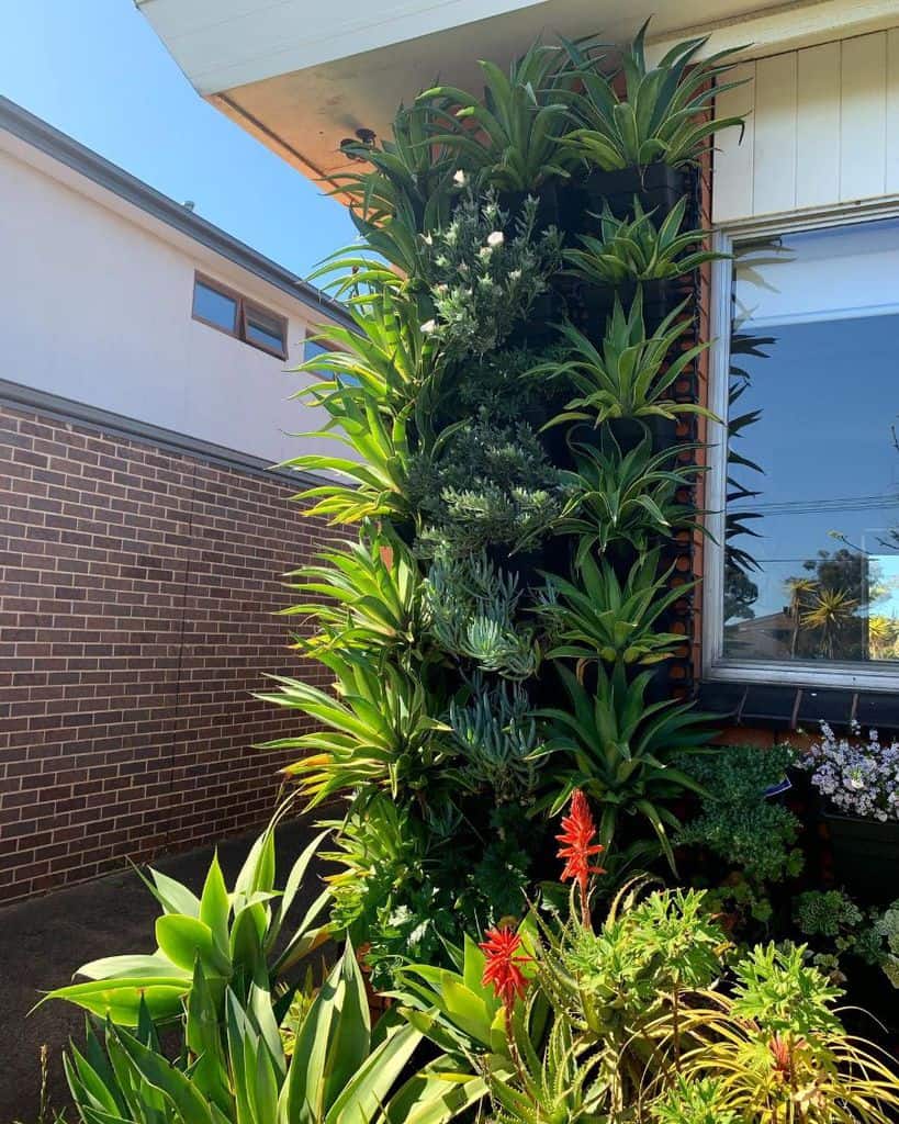 wall planter vertical garden