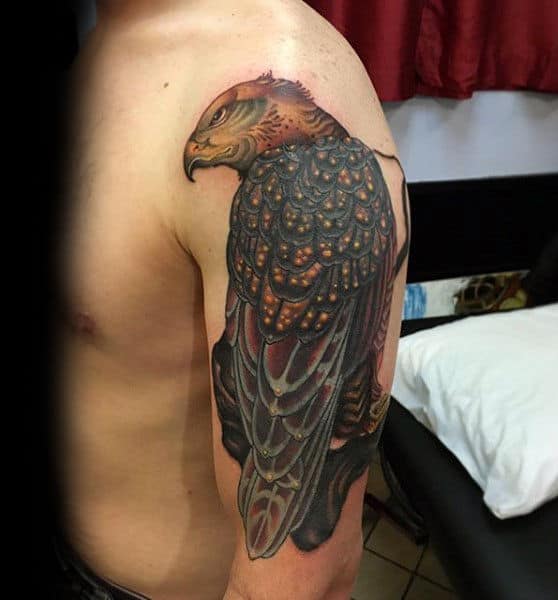 Watchful Hawk Upper Arm Tattoo On Gentleman
