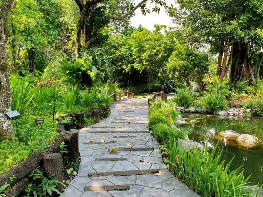 bridge over pond large green backyard 