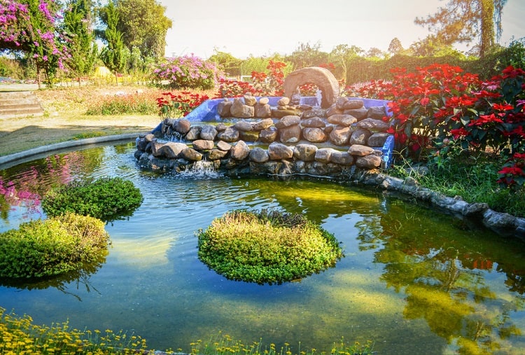 Water Garden Small Backyard Waterfall