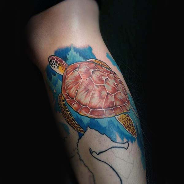 Watercolor Arm Turtle Guys Tattoo Designs