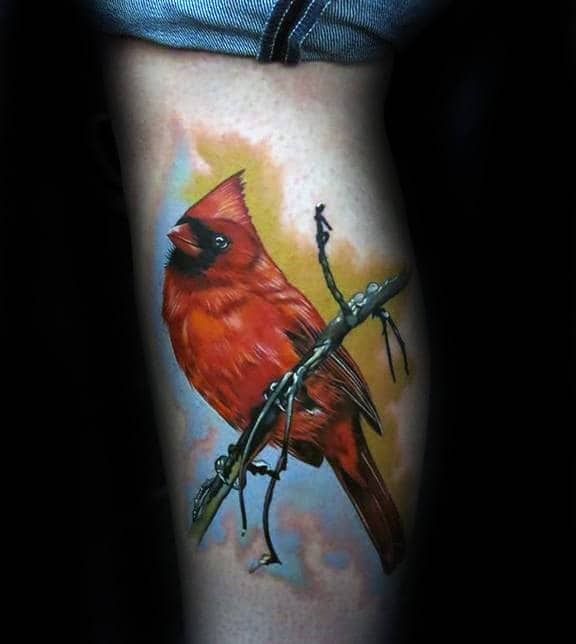 Azarja van der Veen on Twitter Cardinal morebirds cardinal tattoo  tattoos cherryblossom branch bird forearmtattoo tattooartist  tattooer httpstcoZXz6sgYaVc httpstcorVVZj1E7XG  Twitter