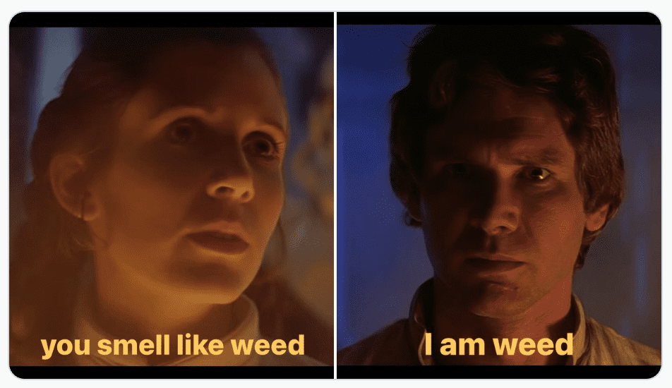 Weed-Memes-9
