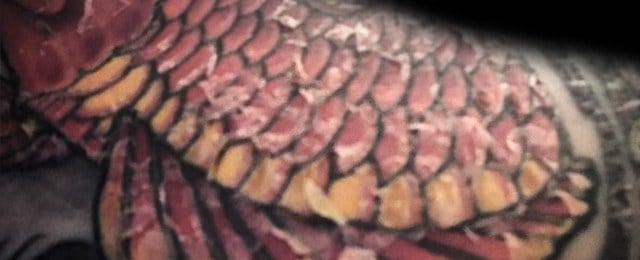 Tattoo Peeling When Peeling Normally Starts  What To Do  Hush Anesthetic