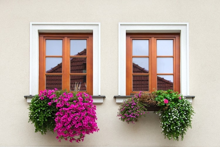 white and brown stucco exterior window trim window sill plants 