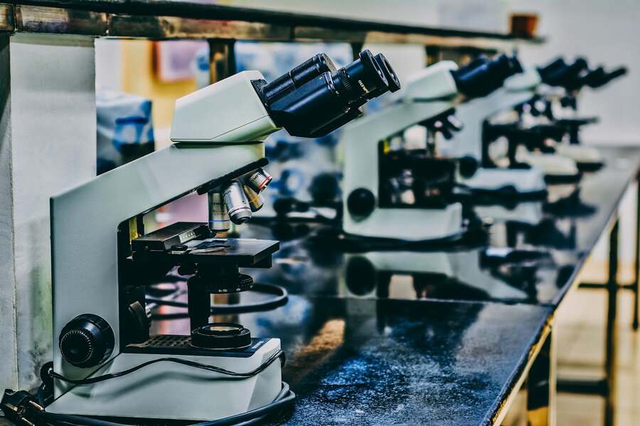 Thymalin Peptide: A Gateway to Immunological and Regenerative Research