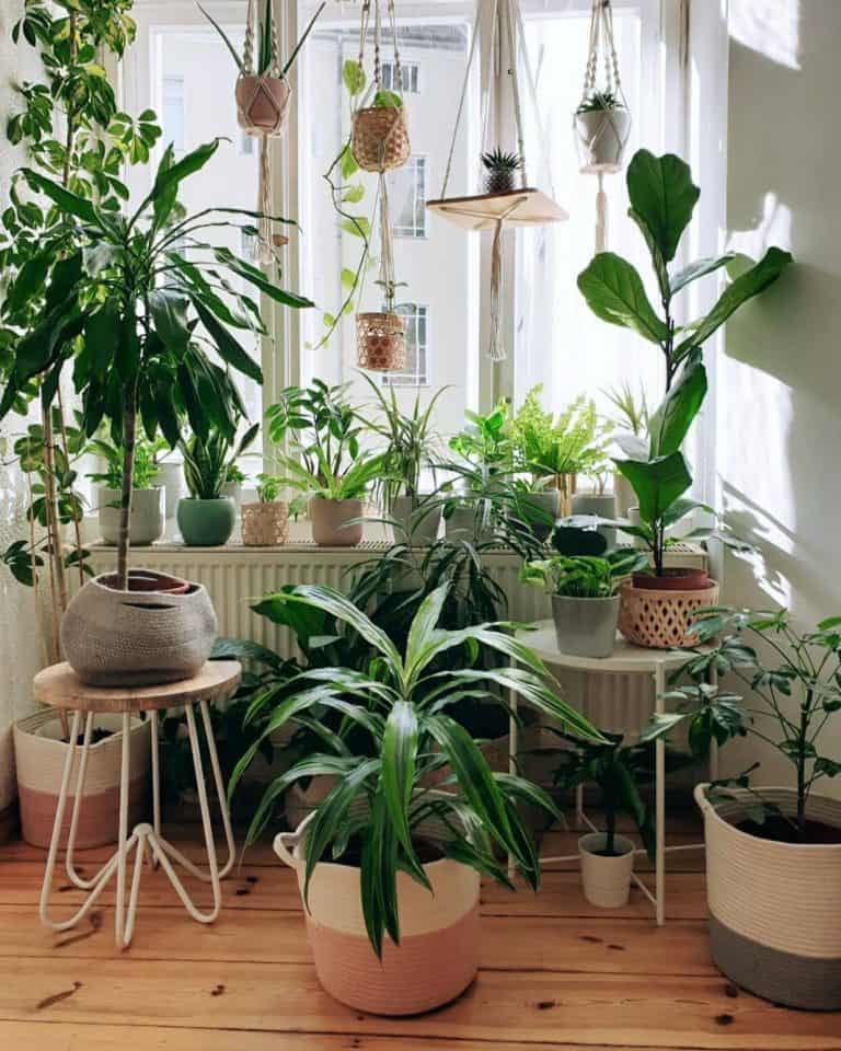 36 Indoor Garden Ideas to Create a Serene and Vibrant Oasis