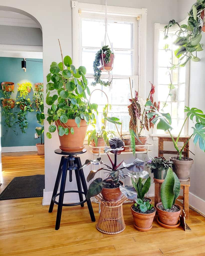 window and sunroom plants indoor garden ideas seafaringsally
