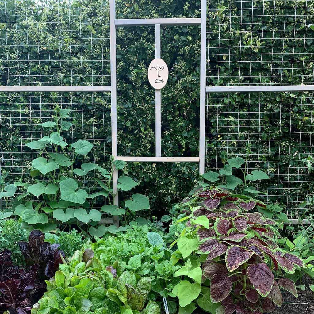 wire and wire mesh garden trellis backyard 