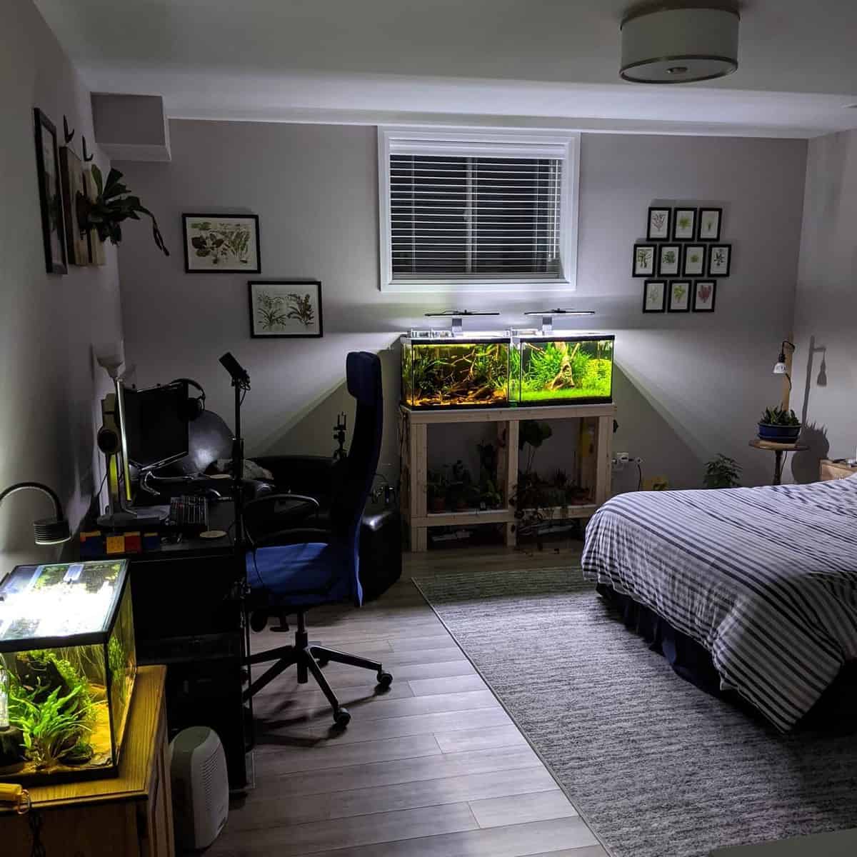 basement room with aquariums