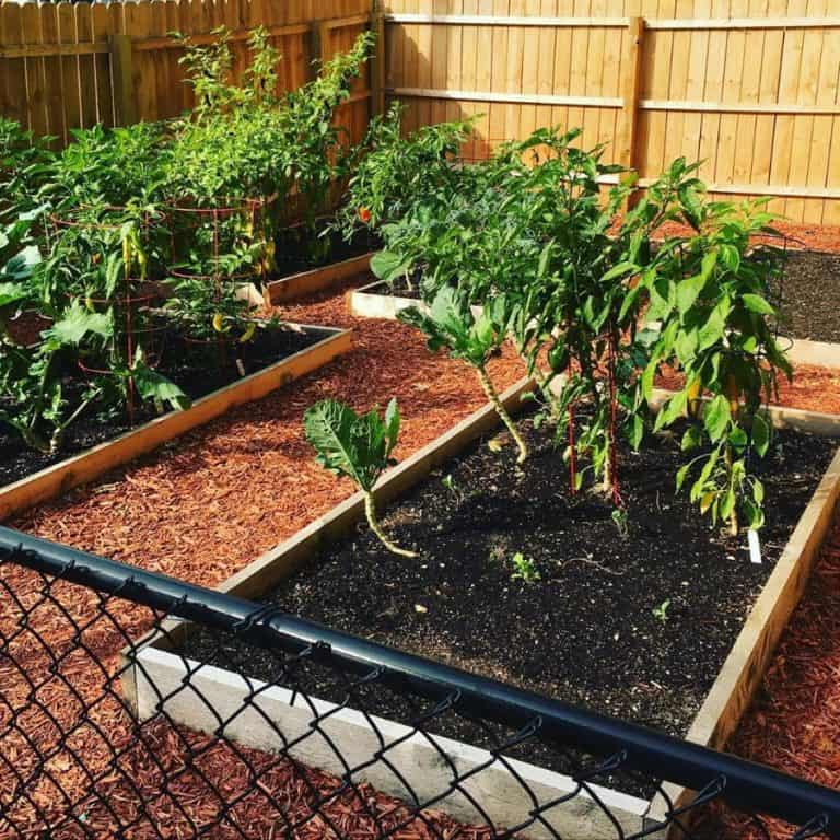 Practical and Stylish Raised Garden Bed Ideas