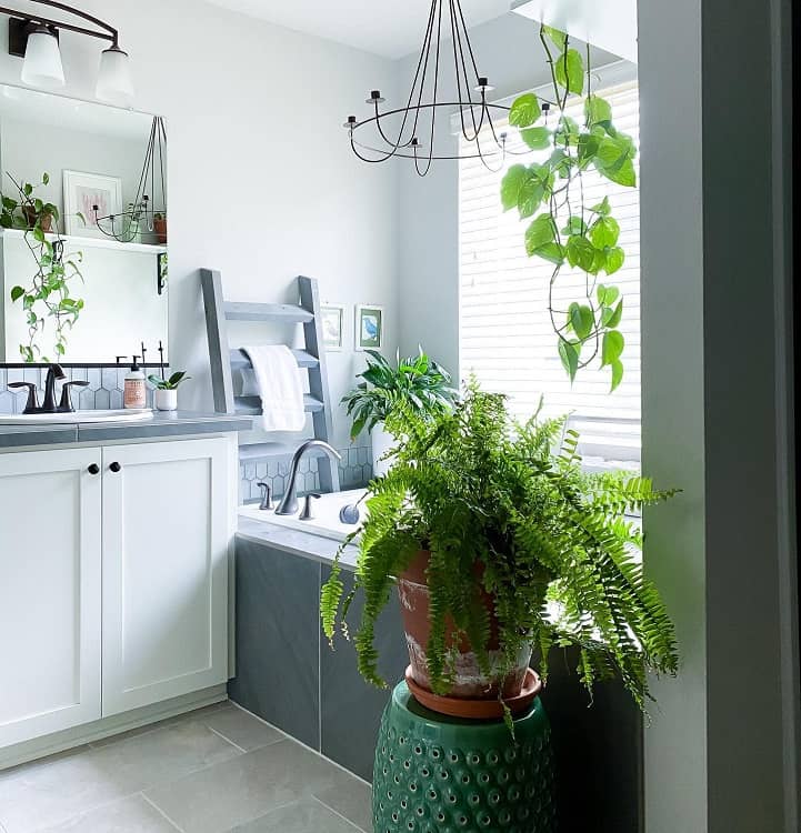 white bathroom tile floor pot plants mirror 