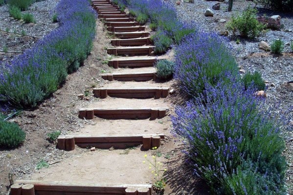 bamboo steps 