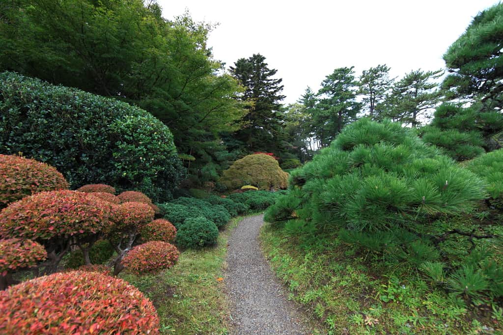 large woodland garden with pathway