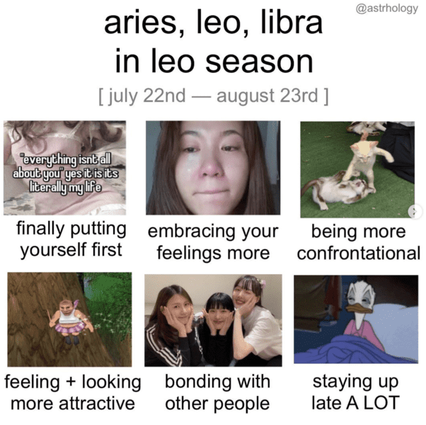 25 Best Zodiac Sign Memes for Astrology Lovers - Next Luxury